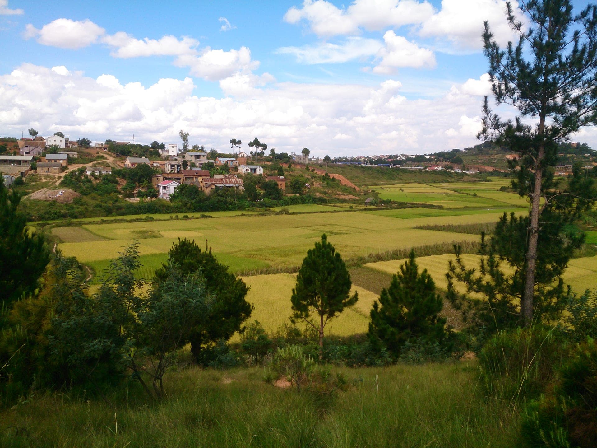 Rizieres parcellees et village pres d'Antananarivo