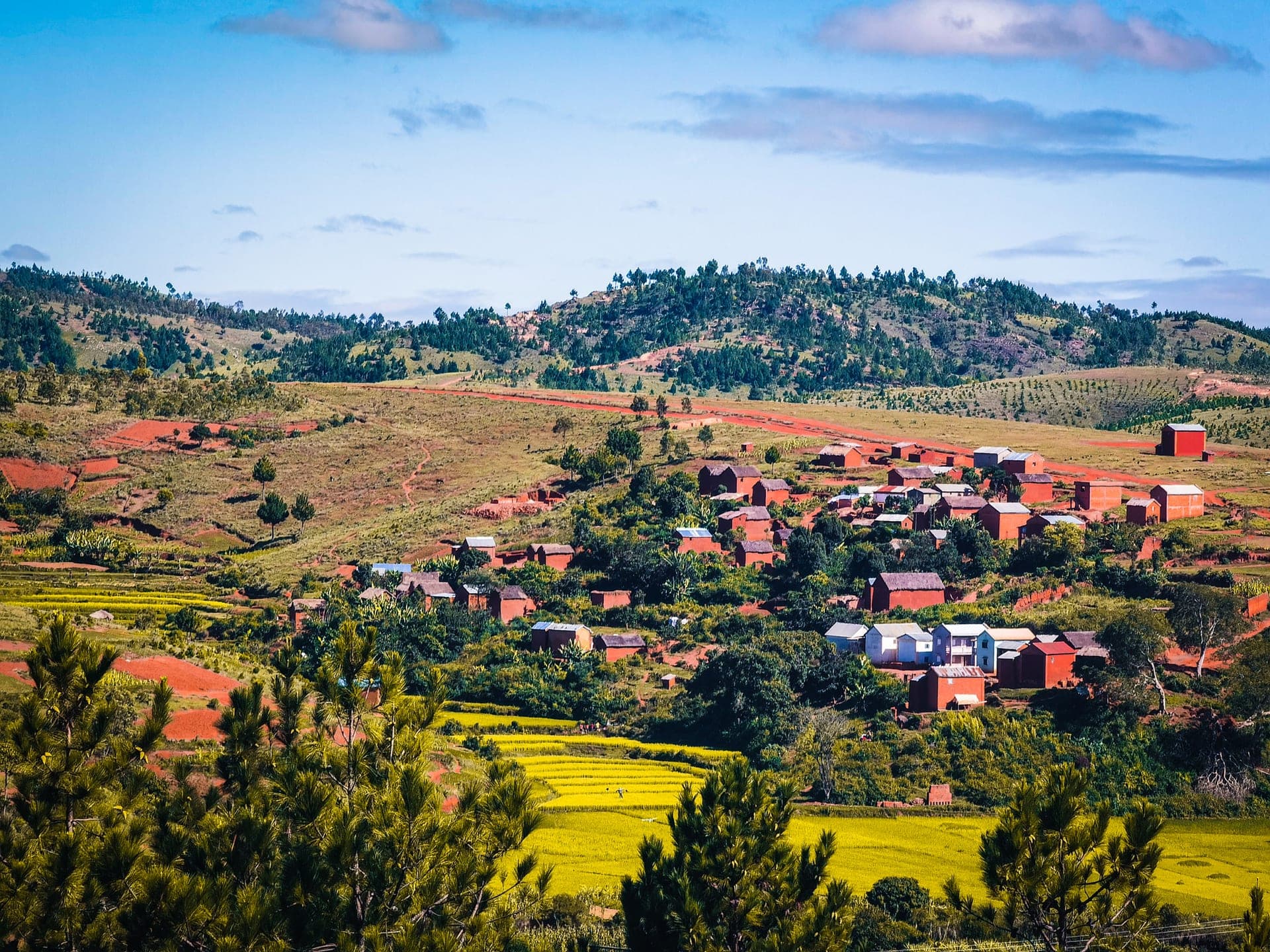 Village et rizieres en terrasses sur les Hauts Plateaux malgaches